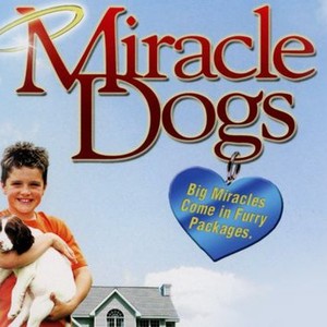 Miracle Dogs photo 8