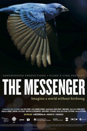 The Messenger poster