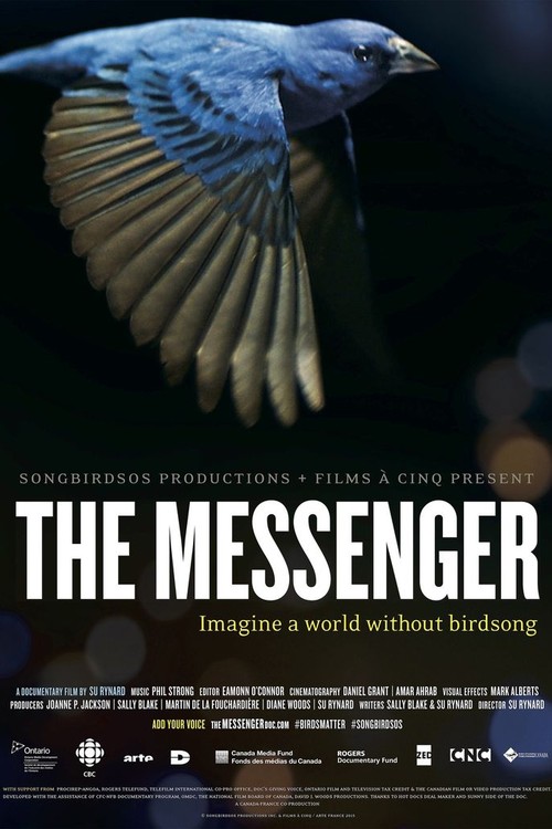 The Messenger poster