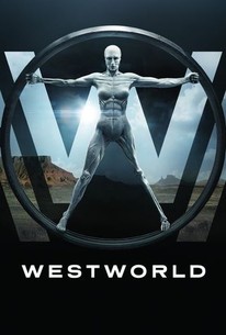Westworld: Season 1 poster image