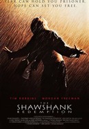 The Shawshank Redemption poster image