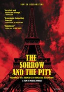 The Sorrow and the Pity poster image