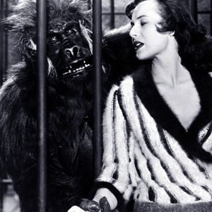 The Bride and the Beast (1958) photo 2