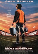 The Waterboy poster image