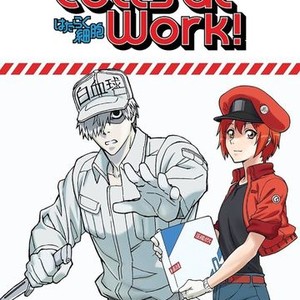 Cells at Work! - Rotten Tomatoes