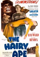 The Hairy Ape poster image