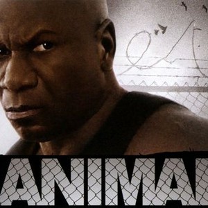 Animal photo 5