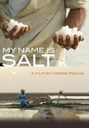 My Name Is Salt poster image