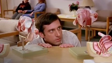 The 40 Year-Old Virgin | Rotten Tomatoes