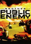 Another Public Enemy poster image