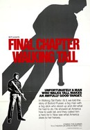 Final Chapter: Walking Tall poster image