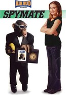 Spymate poster image