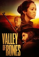 Valley of Bones poster image