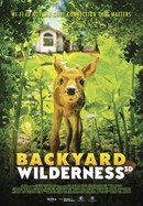 Backyard Wilderness poster image
