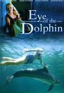 Eye of the Dolphin poster image