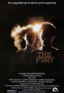 The Fury poster image