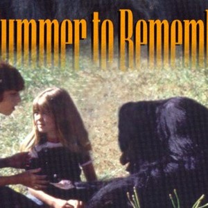 A Summer to Remember photo 5