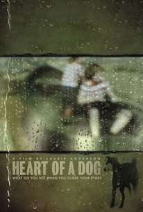 Watch trailer for Heart of a Dog