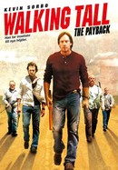 Walking Tall: The Payback poster image