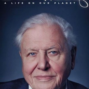 David Attenborough: A Life on Our Planet photo 16