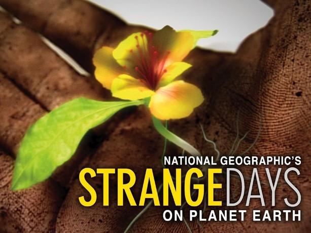 National Geographic's Strange Days on Planet Earth | Rotten