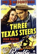 Three Texas Steers poster image