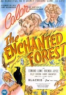 The Enchanted Forest poster image