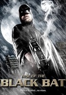 Rise of the Black Bat poster image