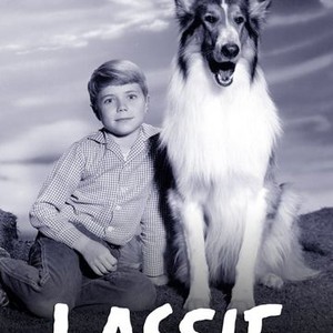 "Lassie photo 2"