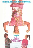 Mr. Nanny poster image