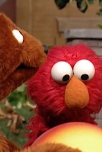 Sesame Street: Season 36, Episode 17 | Rotten Tomatoes