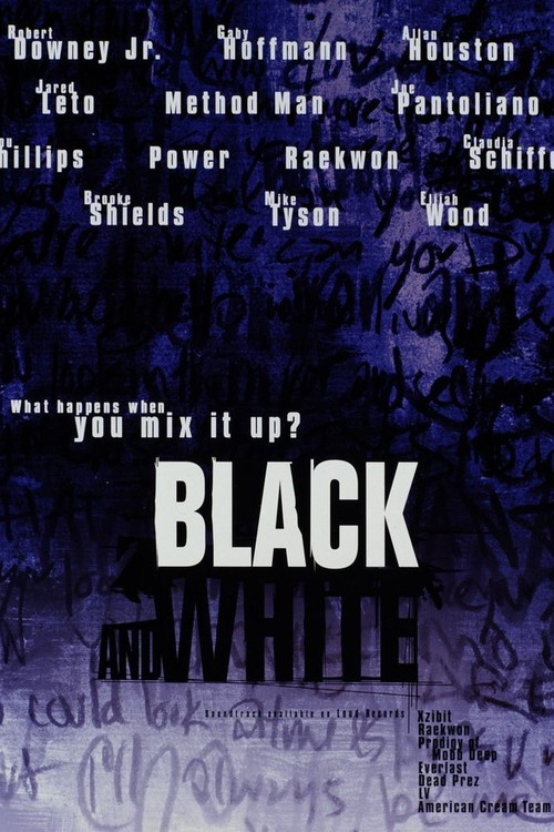 Black and White poster