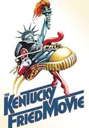 The Kentucky Fried Movie poster image