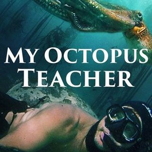 "My Octopus Teacher photo 3"