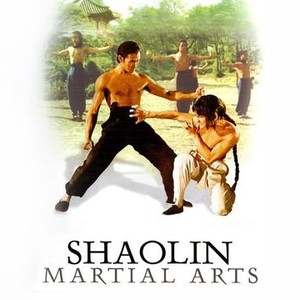 Shaolin Martial Arts photo 9