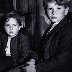 The Little Kidnappers (1954) photo 2