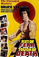 Fist of Fear, Touch of Death poster image