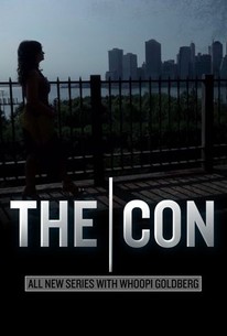 The Con Is On  Rotten Tomatoes