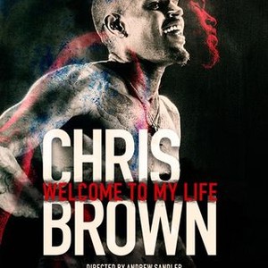 Chris Brown: Welcome to My Life photo 14