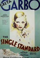 The Single Standard poster image