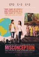 Misconception poster image