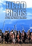 Dead Birds poster image