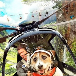 A Doggone Hollywood photo 3