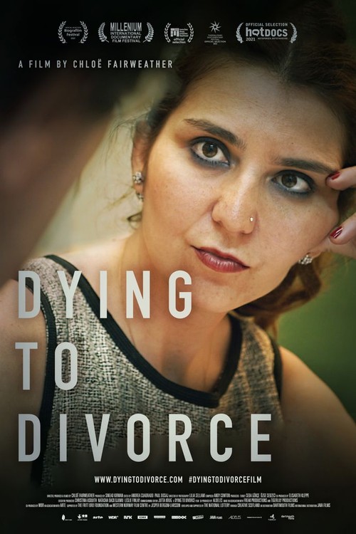 Dying to Divorce poster