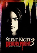 Silent Night, Deadly Night 3: Better Watch Out! poster image