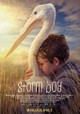 Storm Boy