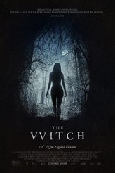poster image from The Witch