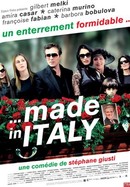 Made in Italy poster image