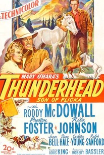 Poster for Thunderhead: Son of Flicka