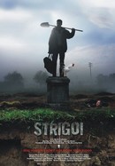 Strigoi poster image